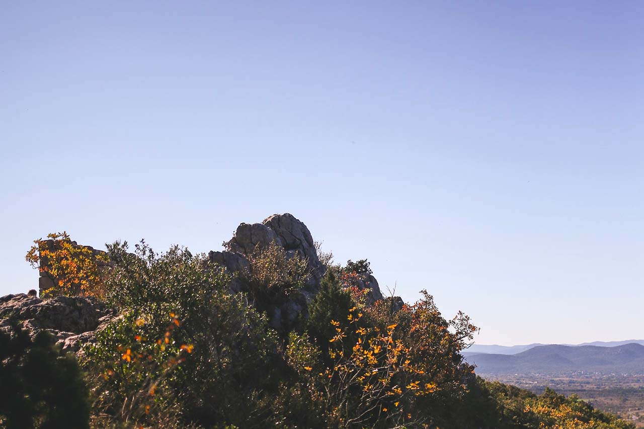 AOP Pic Saint Loup Dans Quel Climat Est il Produit Aop pic saint loup dans quel climat est il produit